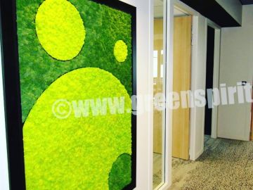 Réalisation d’un mur végétal stabilisé sur mesure par l’entreprise @greenspirit_mur_vegetal #murvegetal #plafondvegetal #verticalgarden #designvegetal #dinan...